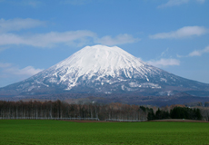 Mt. Yotei