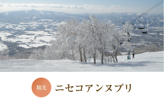 観光　ニセコアンヌプリ